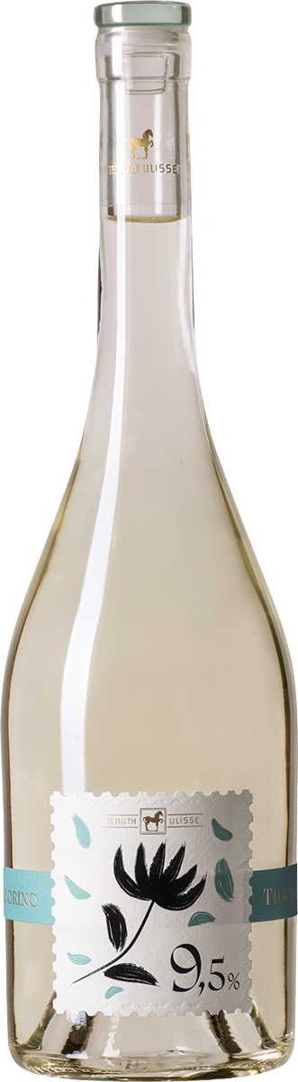 1130940 TURCHINO Pecorino IGP