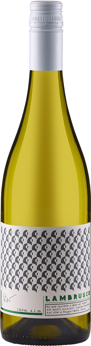 1701360 Lambrusco Bianco Amabile IGP