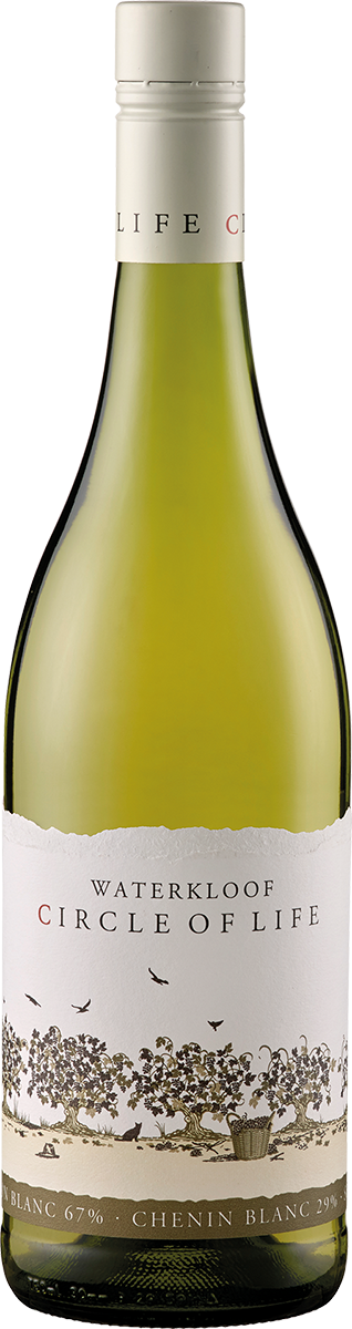 6051000 - Waterkloof Circle of Life White