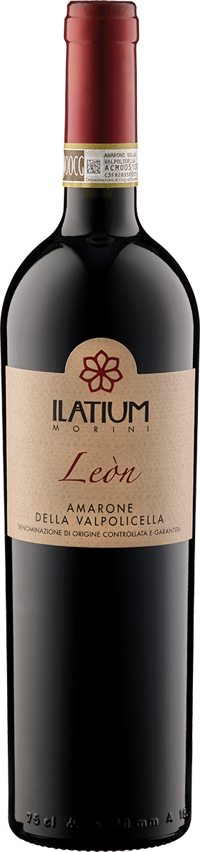 1050570 - Amarone della Valpolicella "Campo Leòn" DOCG