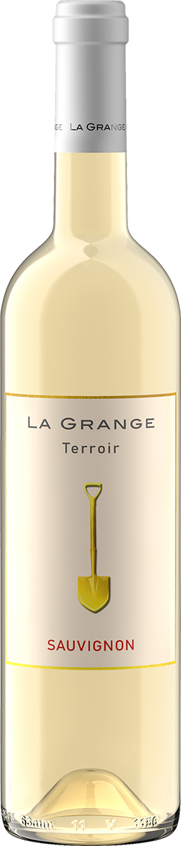 4055080 - Terroir Sauvignon Blanc IGP Pays d'Oc
