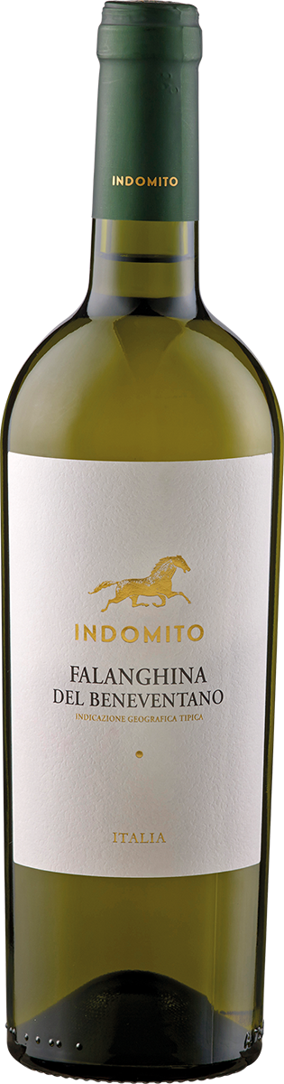 1150010 - Falanghina del Beneventano 'Indomito' IGT